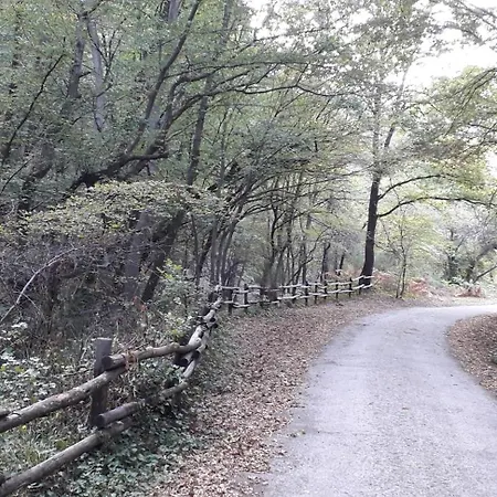 Casetta Monterano *